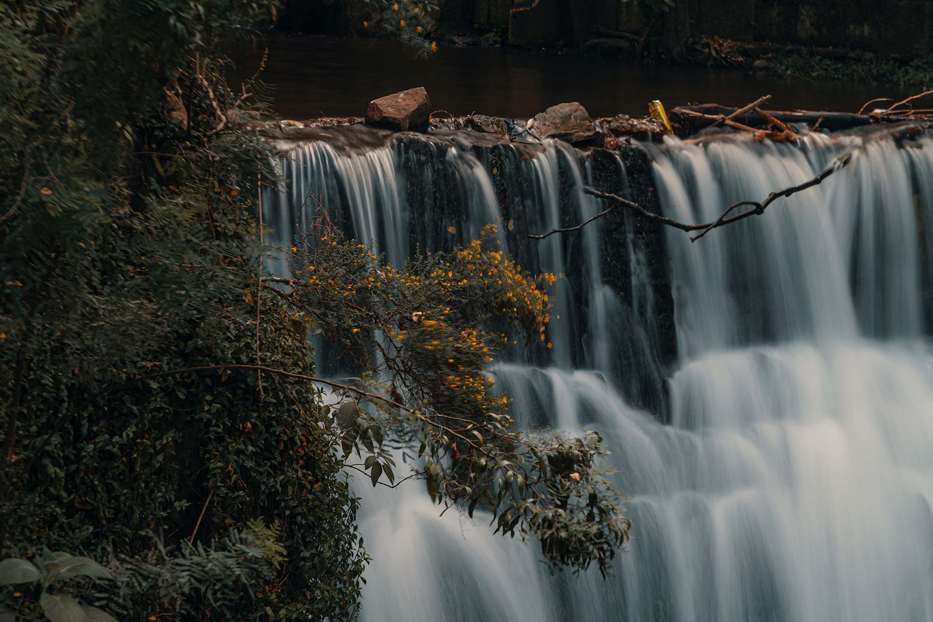  Ruta Sendero Vicachá