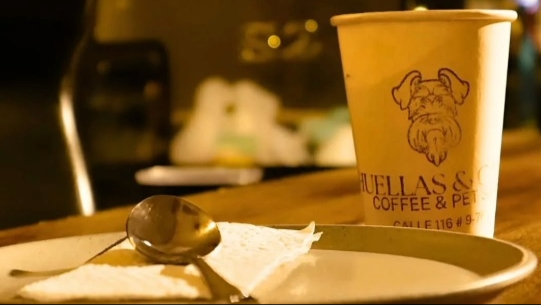  En una mesa hay un vaso de cartón con la imagen de un perro y se alcanza a leer un título que dice "Huellas & Café". Hay plato vacío con una cucharita y una servilleta.