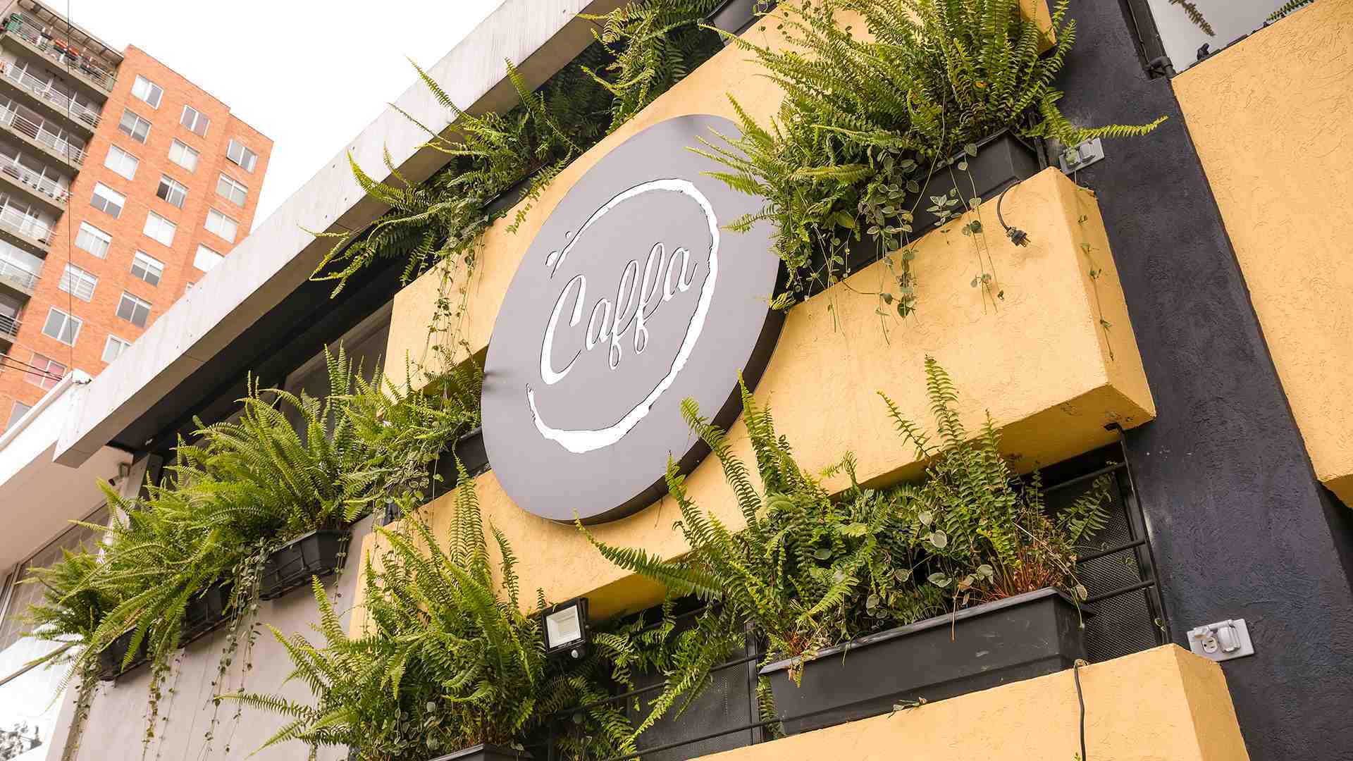 Exterior moderno de la cafetería Caffa con un gran logo circular y jardineras llenas de helechos verdes.