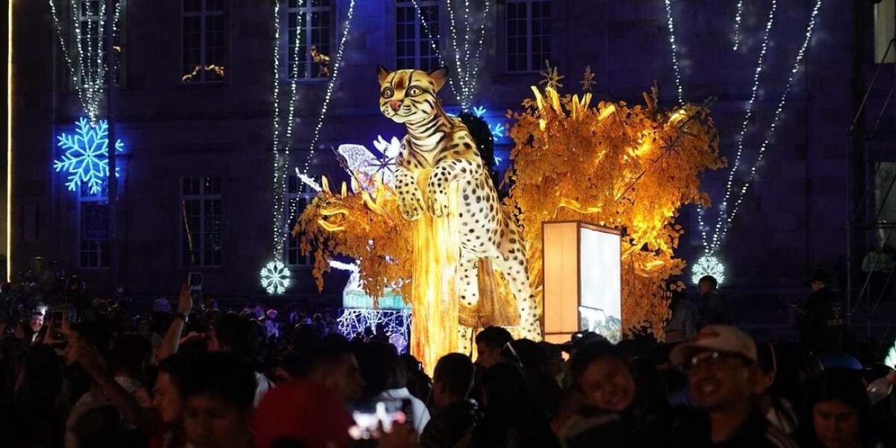 Centenares de personas de noche alrededor de un alumbrado navideño en forma de gran felino.
